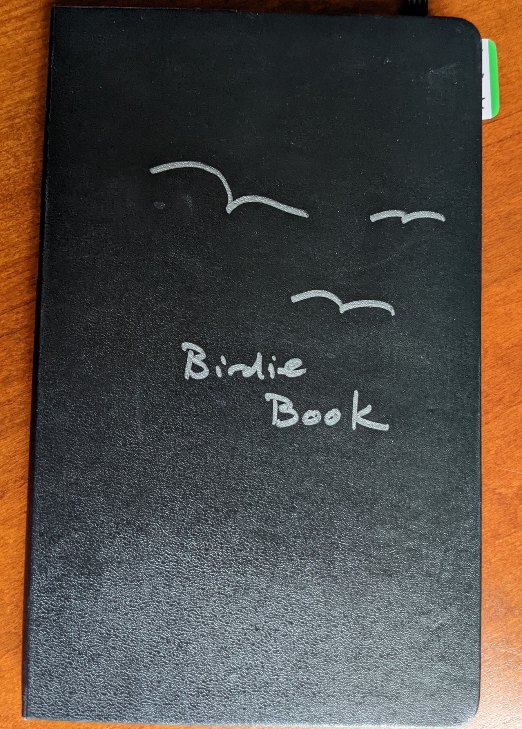 black notebook cover with the title bird book handwritten in silver ink