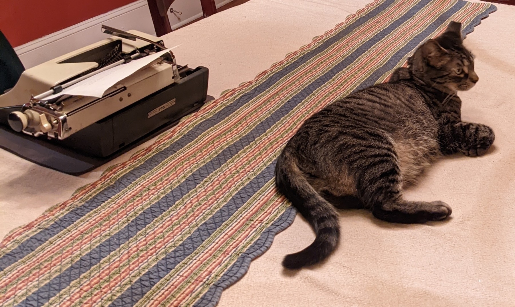 an annoyed looking cat is lying on a table across from a typewriter, with his back to the machine and his ears slightly flattened
