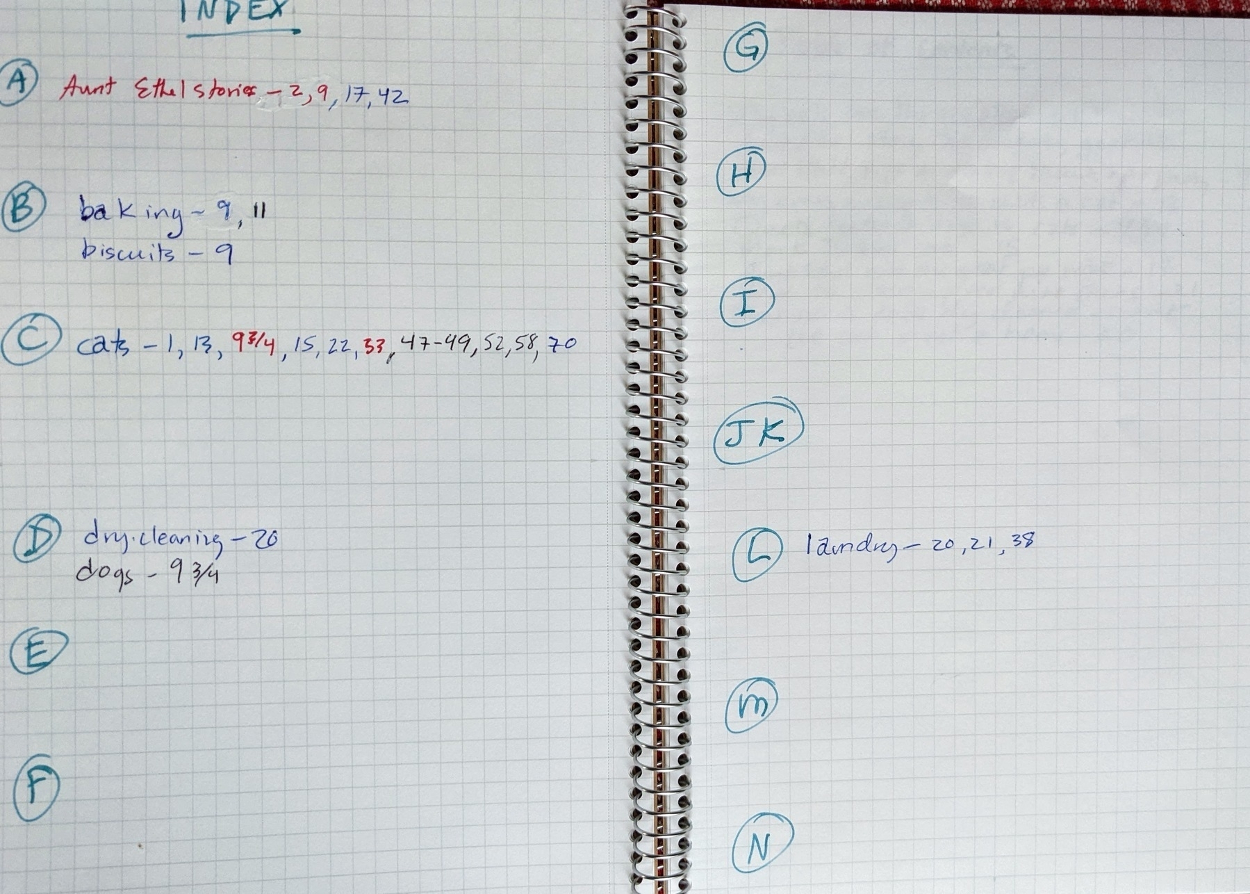handwritten index in a paper notebook, with page numbers listed next to topic keywords