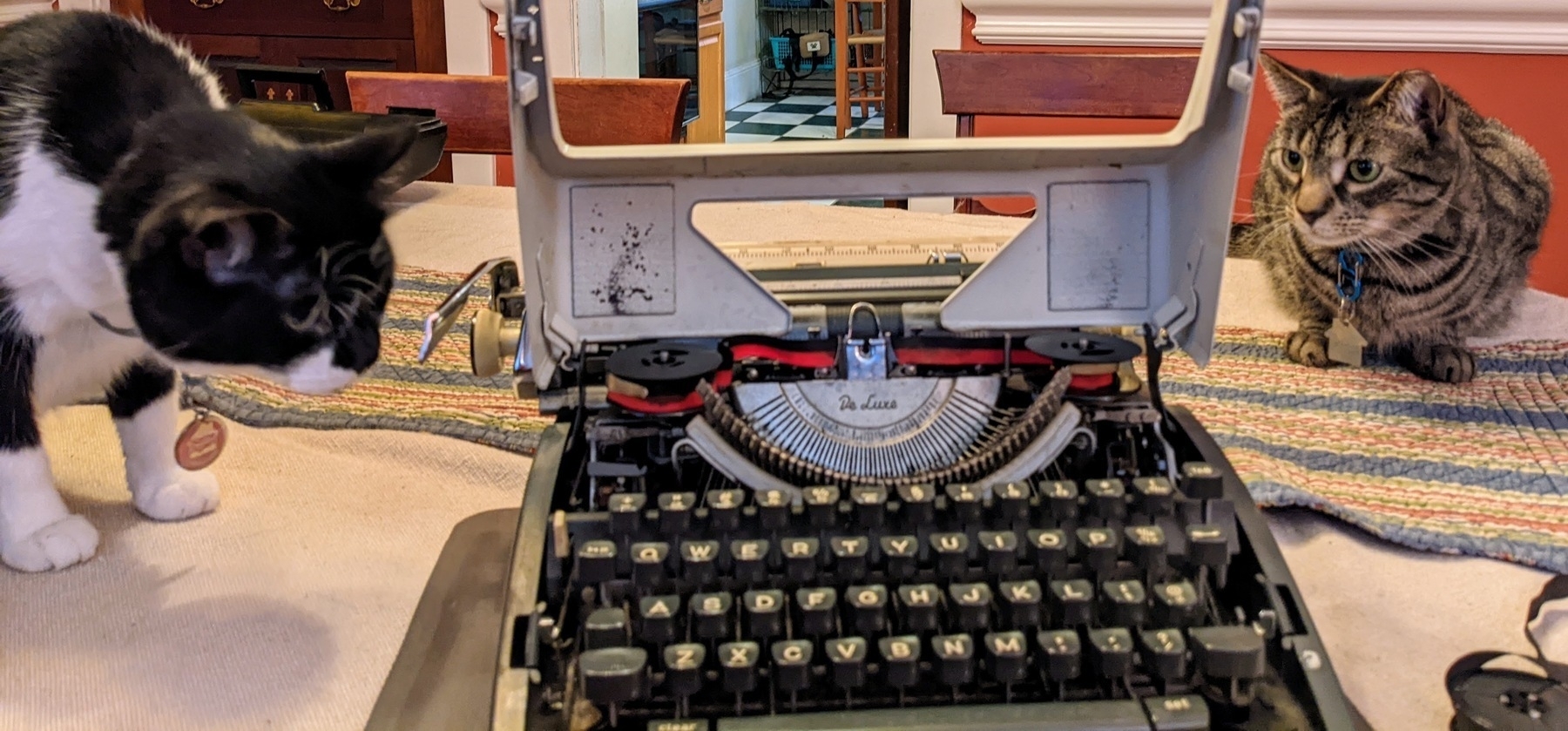 two wide-eyed cats, who have never seen a typewriter before, sit stiffly on a table, near the typewriter, with a typewriter ribbon unwound from its spool